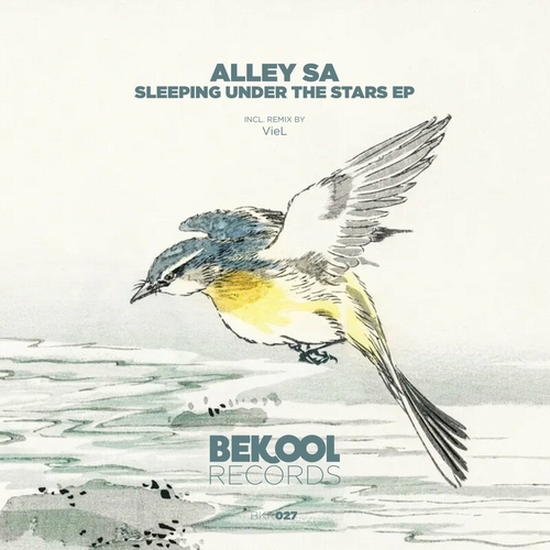 Alley SA - Sleeping Under the Stars [BKR027]
